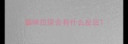 猫咪拉尿会有什么反应