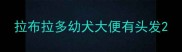拉布拉多幼犬大便有头发