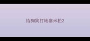 给狗狗打地塞米松