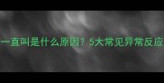 狗狗打完疫苗后一直叫是什么原因5大常见异常反应及科学应对指南
