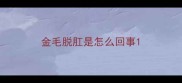 金毛脱肛是怎么回事