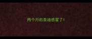 两个月的泰迪感冒了