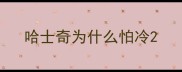 哈士奇为什么怕冷