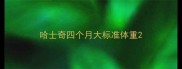 哈士奇四个月大标准体重