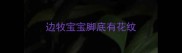 边牧宝宝脚底有花纹
