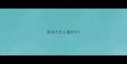 泰迪犬怎么看好坏