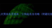 金毛犬男孩名灵感库公狗起名全攻略附避坑指南