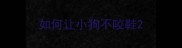 如何让小狗不咬鞋