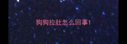 狗狗拉肚怎么回事