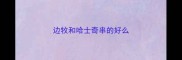 边牧和哈士奇串的好么