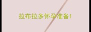 拉布拉多怀孕准备