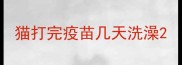 猫打完疫苗几天洗澡