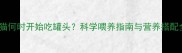 幼猫何时开始吃罐头科学喂养指南与营养搭配全