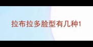 拉布拉多脸型有几种