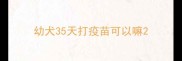 幼犬35天打疫苗可以嘛