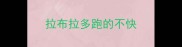 拉布拉多跑的不快