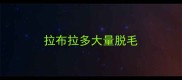 拉布拉多大量脱毛