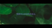 狗狗可以和宝宝共处么