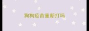 狗狗疫苗重新打吗
