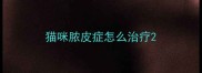 猫咪脓皮症怎么治疗