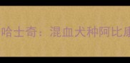 阿拉斯加雪橇犬西伯利亚哈士奇混血犬种阿比康的培育指南与优缺点分析