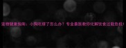 宠物健康指南小狗吃撑了怎么办专业兽医教你化解饮食过载危机