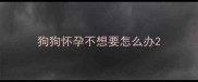 狗狗怀孕不想要怎么办