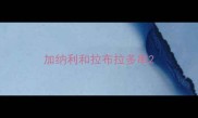 加纳利和拉布拉多串