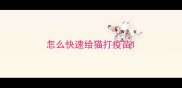 怎么快速给猫打疫苗