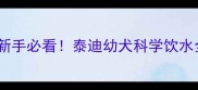 两个月泰迪能喂水吗新手必看泰迪幼犬科学饮水全攻略附喂养时间表