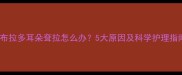 拉布拉多耳朵耷拉怎么办5大原因及科学护理指南