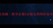 金毛卧下训练全攻略新手必看5步教会狗狗听指令附训练视频
