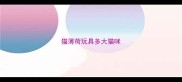 猫薄荷玩具多大猫咪