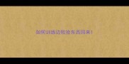 如何训练边牧捡东西回来