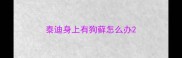 泰迪身上有狗藓怎么办