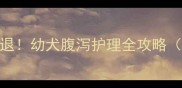 疫苗后拉稀5天不退幼犬腹泻护理全攻略附紧急处理清单