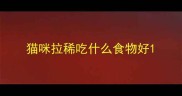 猫咪拉稀吃什么食物好