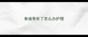 泰迪骨折了怎么办护理