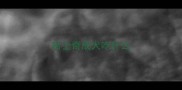 哈士奇成犬吃什么