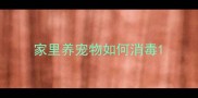 家里养宠物如何消毒