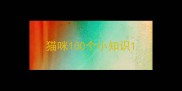 猫咪100个小知识