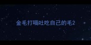 金毛打嗝吐吃自己的毛