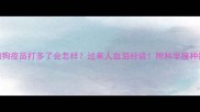 狗狗疫苗打多了会怎样过来人血泪经验附科学接种指南