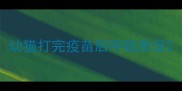 幼猫打完疫苗后呼吸急促