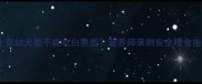 哈士奇幼犬能不能吃白煮蛋营养师亲测安全喂食指南