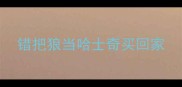 错把狼当哈士奇买回家