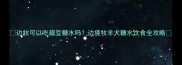 边牧可以吃眉豆糖水吗边境牧羊犬糖水饮食全攻略