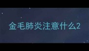 金毛肺炎注意什么