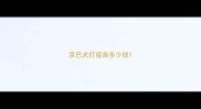 京巴犬打疫苗多少钱