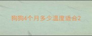狗狗4个月多少温度适合